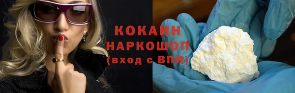 МДПВ Нея
