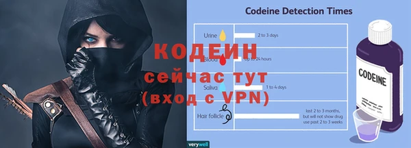 МДПВ Нея