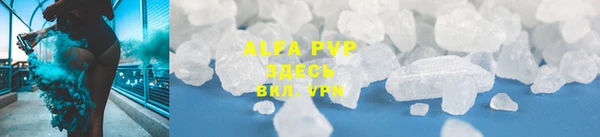 МДПВ Нея